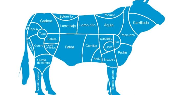 Conozca de donde salen las piezas de la vaca