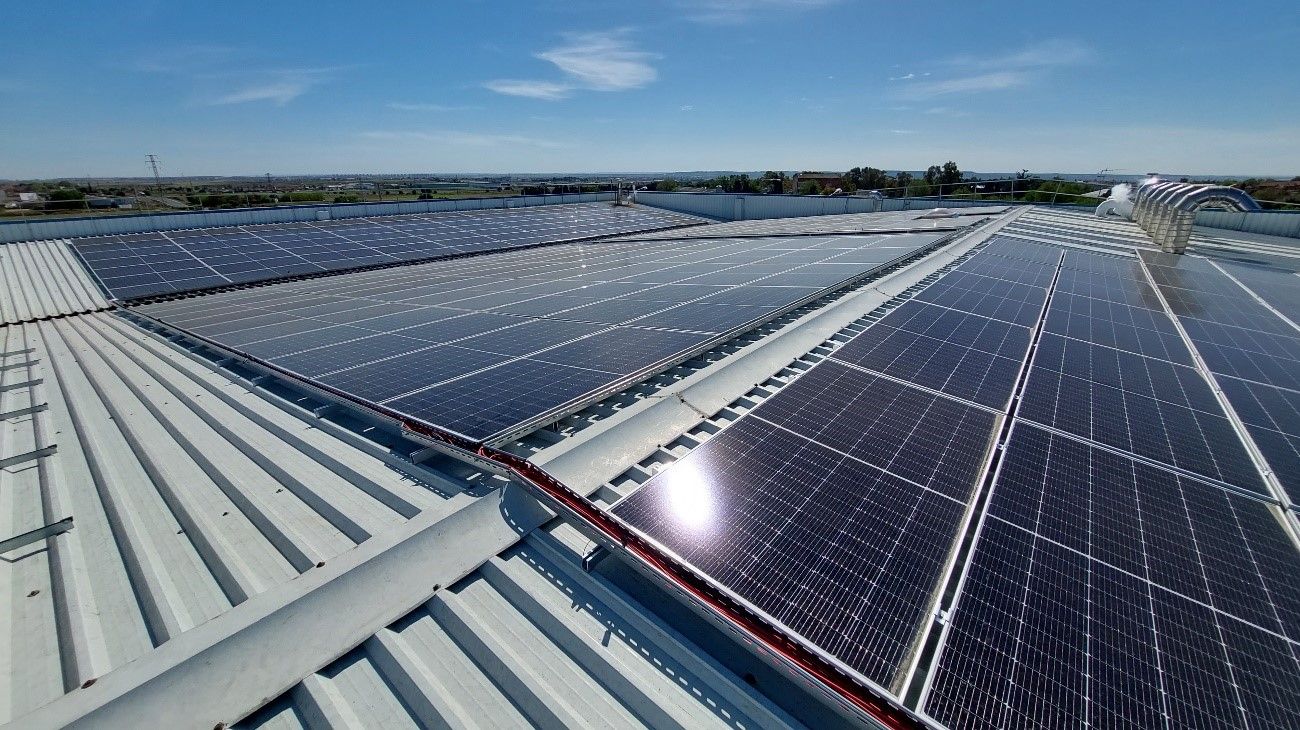 AUTOCONSUMO SOLAR FOTOVOLTAICO CARPISA FOODS, S.L. en GRIÑON