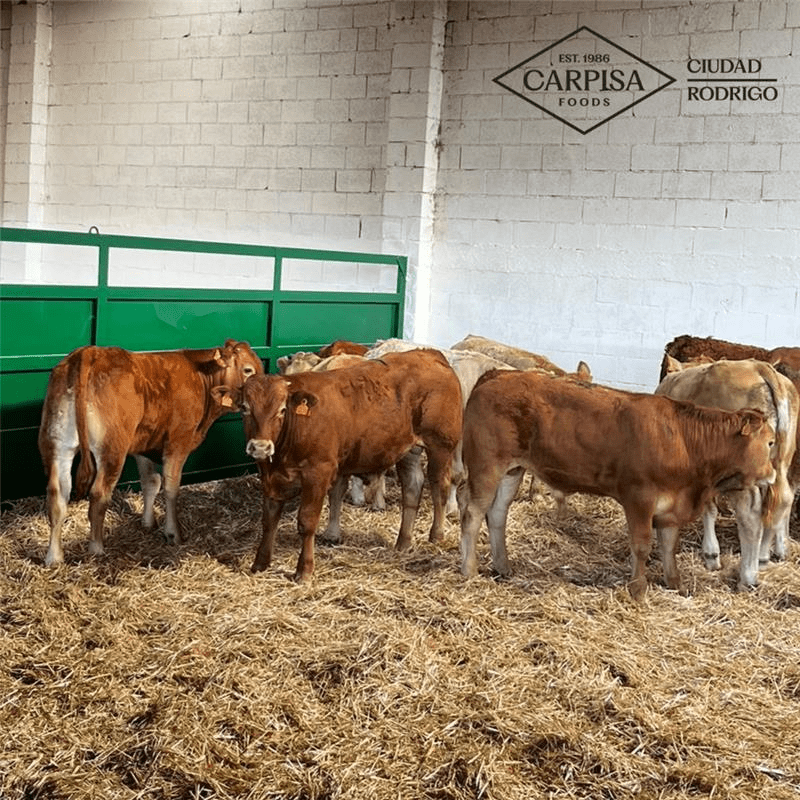 Carpisa Foods vuelve a Salamaq para presentar sus innovaciones en Ciudad Rodrigo, clave para el crecimiento de la compañía 